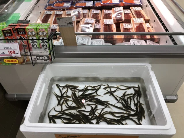 びっくり市 山形南店 - 蔵王（その他）の写真