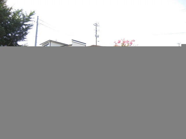 夢乃風 - 平泉（麺類）の写真