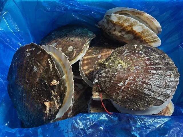 五篤丸水産（ゴトクマルスイサン） - 陸中山田（その他）の写真