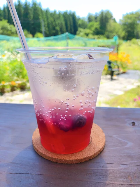 ぶるーべりーガーデンカフェ - 男鹿（カフェ）の写真