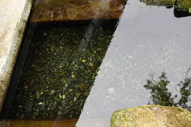 ニテコ名水庵 Kuraカフェ - 飯詰（カフェ）の写真