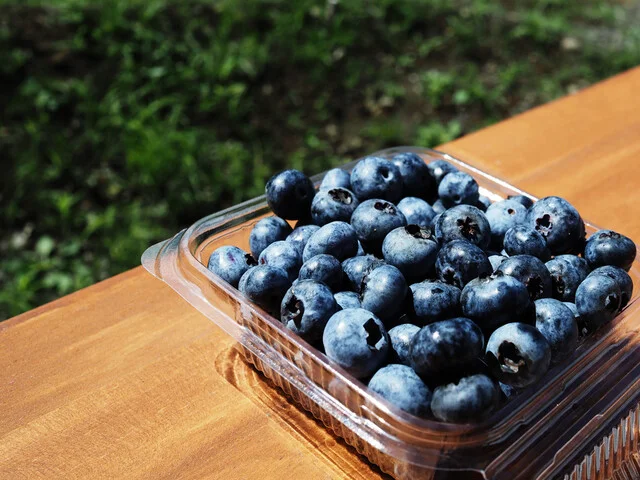 蔵王ブルーベリー農園 レストハウス - 蔵王町その他（カフェ）の写真