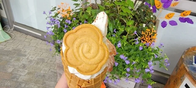 道の駅 しょうわ（ブルーメッセ あきた） - 大久保（道の駅）の写真