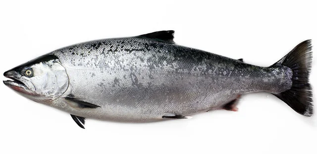 藤岡青果店 - 鷹ノ巣（その他）の写真