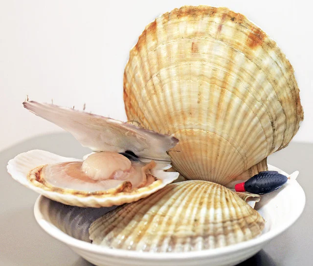 藤岡青果店 - 鷹ノ巣（その他）の写真