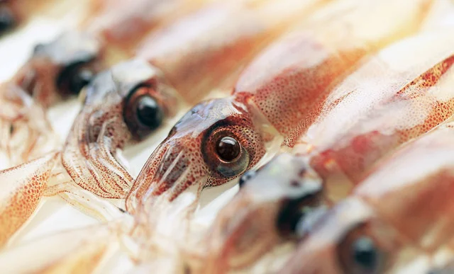 藤岡青果店 - 鷹ノ巣（その他）の写真