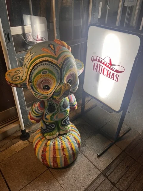 ムーチャス（Muchas） - 山形（メキシコ料理）の写真