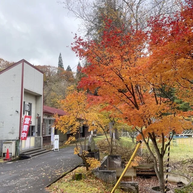 こもれび - 小坂町その他（レストラン）の写真