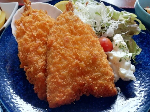 食処 居酒屋 おおとら - 大槌（居酒屋）の写真