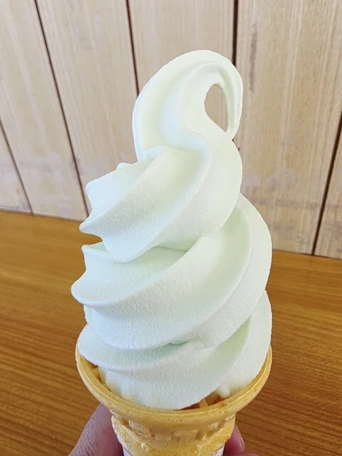 うにねこカフェ - 磯鶏（カフェ）の写真