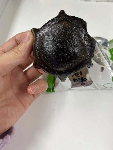 亀の子せんべい本舗大浪 萩荘本店 - 一ノ関（和菓子）の写真