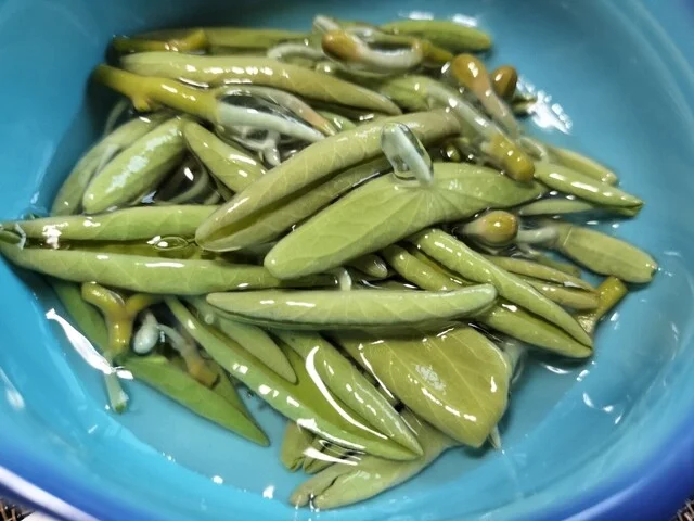 農家民宿 しばたん家 - 鹿渡（その他）の写真