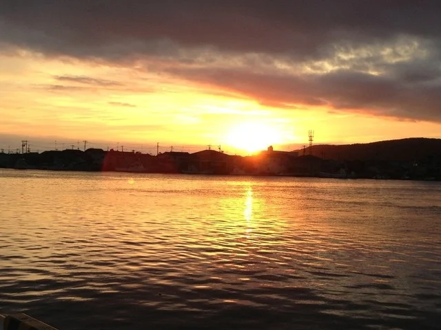 かき小屋　渡波（わたのは） - 渡波（かき）の写真