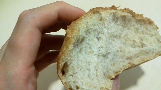 自家製酵母パン　WAKU（ワク） - 泉外旭川（パン）の写真