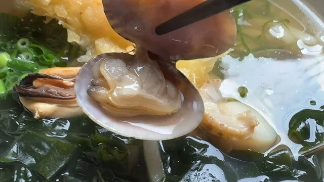 釜揚げ屋 - 陸中山田（うどん）の写真