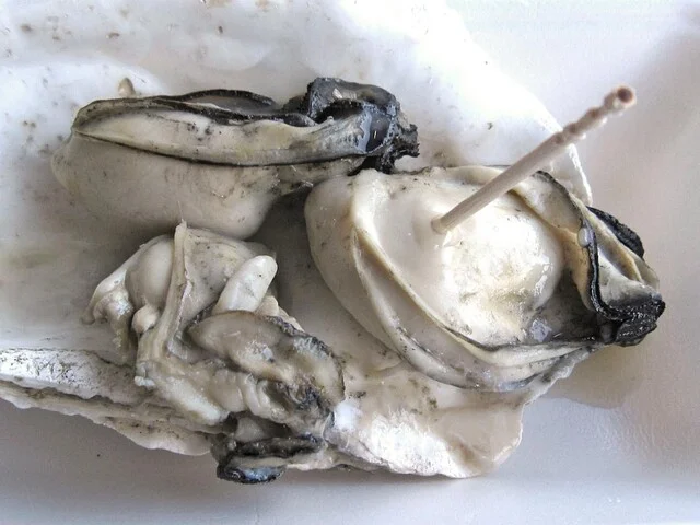 あさひ堂 - 仙北町（その他）の写真