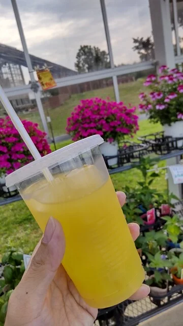 アグリプラザ昭和 - 大久保（その他）の写真