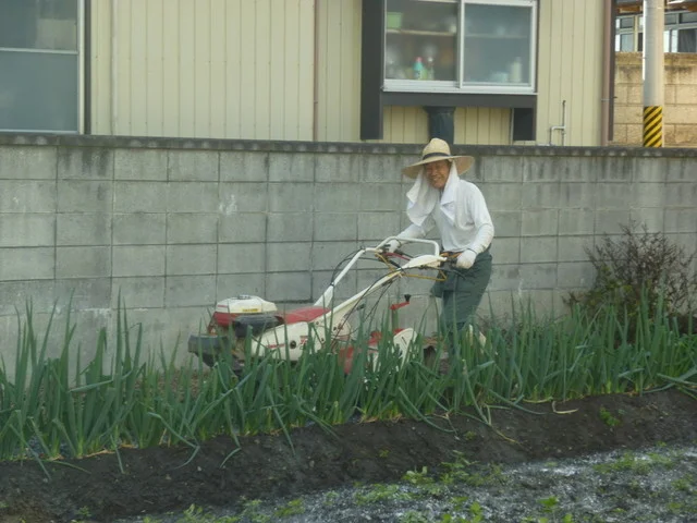 Secret Base（シークレットベース） - 曽波神（カレー）の写真