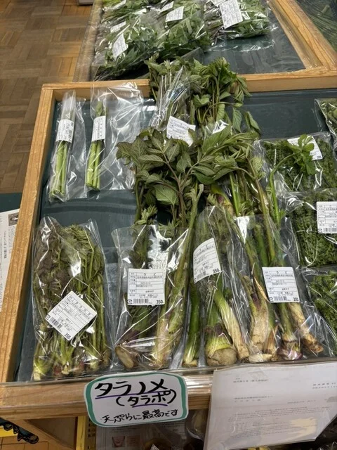 川の駅 よこた - 陸前高田（その他）の写真