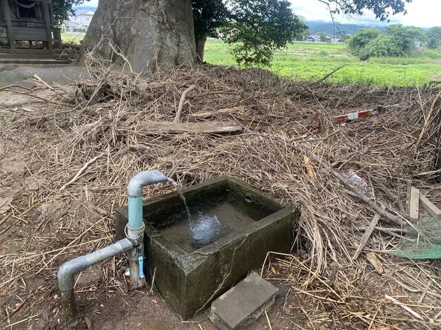 ドライブインよしの - 吹浦（寿司）の写真