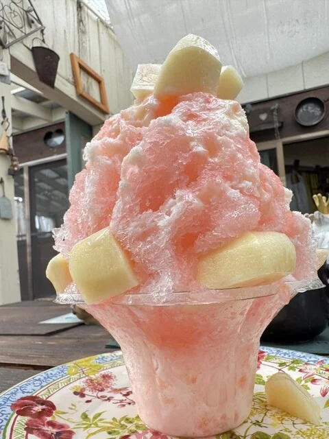 ベーカリー　飛行船 - 山ノ目（パン）の写真