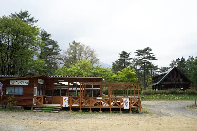 蔵王ブルーベリー農園 レストハウス - 蔵王町その他（カフェ）の写真