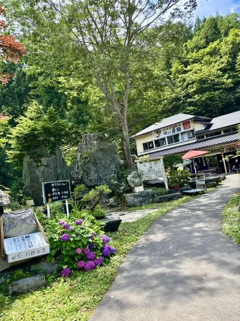 峠の茶屋・最上屋（もがみや 峠の力餅） - 峠（郷土料理）の写真