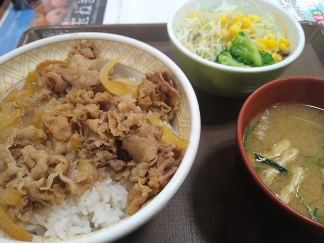 すき家 7号大館店 - 東大館（牛丼）の写真