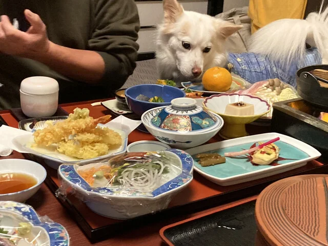 鴬宿温泉　ホテル鶯 - 雫石町その他（ホテル）の写真