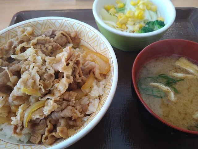 すき家 105号北秋田店 - 鷹巣（牛丼）の写真
