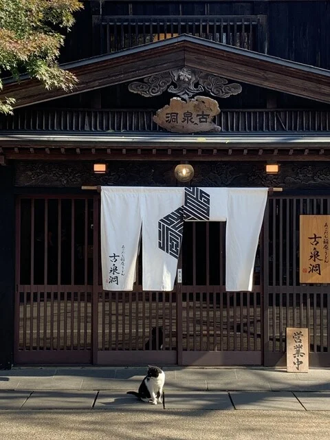あごだし稲庭うどん 古泉洞（こせんどう） - 角館（うどん）の写真