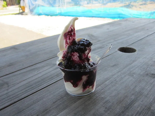 東光園（トウコウエン） - 羽後岩谷（スイーツ）の写真