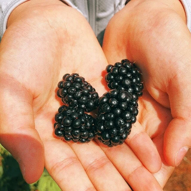 菓子工房エスポワール - 二ツ井（ケーキ）の写真