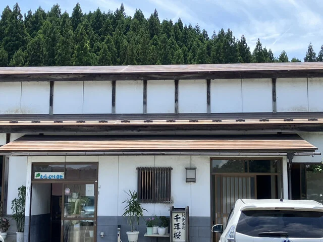 千年桜（センネンザクラ） - 黒沢（由利高原）（食堂）の写真