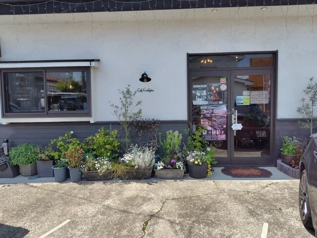 Cafe ユーカリ（カフェ ユーカリ） - 陸前豊里（カフェ）の写真