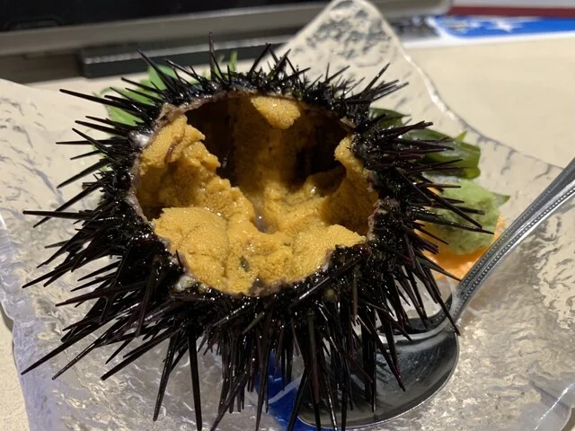 とり福（とりふく） - 蛇田（居酒屋）の写真