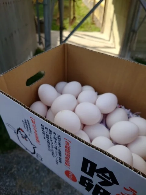 斎藤養鶏場 - 横倉（その他）の写真