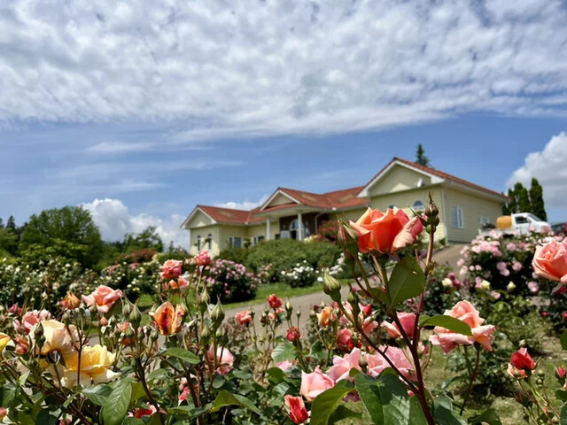 紫波ローズガーデン - 紫波中央（ソフトクリーム）の写真