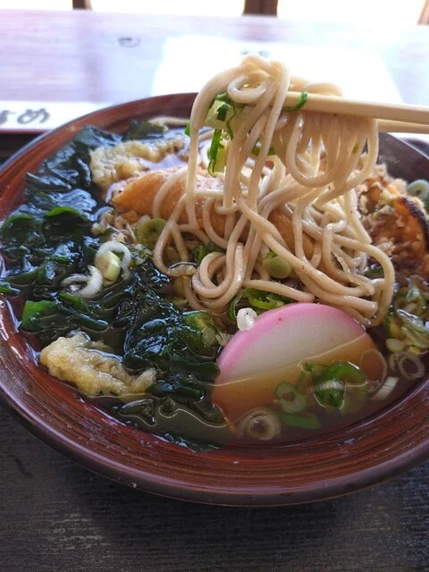 レストラン妲湯 - 西目（うどん）の写真