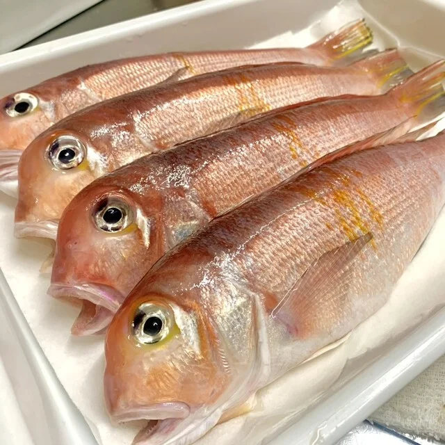 天ぷら あざらけ - 山形（天ぷら）の写真