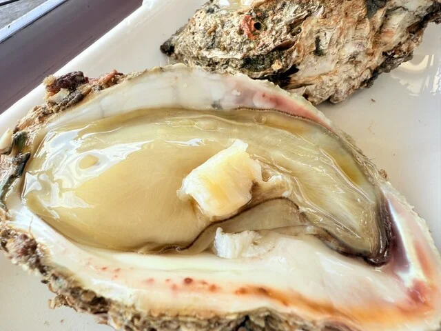 土田水産 - 象潟（その他）の写真