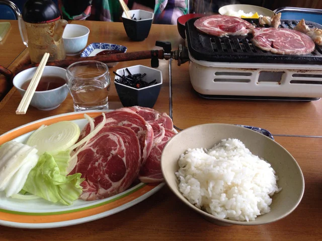 水神温泉山照園 - 藤根（旅館・民宿）の写真