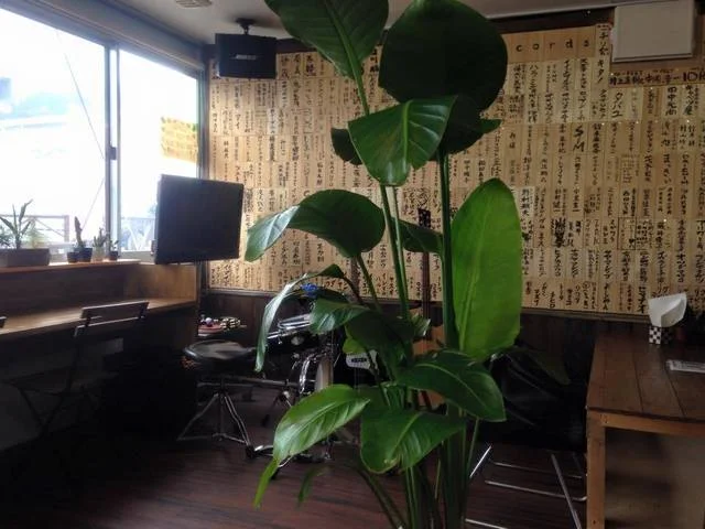 フリークス（FREAKS） - 大船渡（喫茶店）の写真