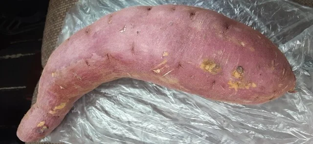 イオンスーパーセンター 一関店 - 一ノ関（その他）の写真