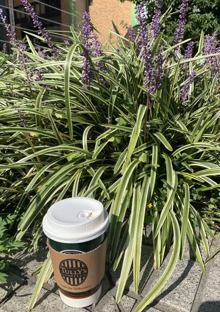 タリーズコーヒー 盛岡駅フェザン店（TULLY'S COFFEE） - 盛岡（カフェ）の写真