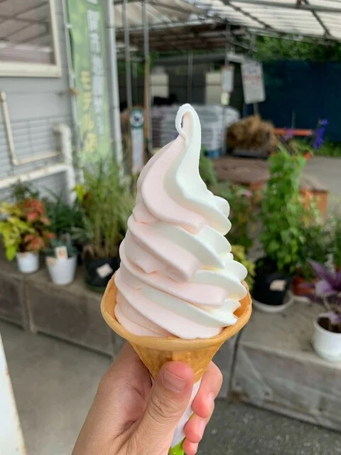 季節館食堂 - 柴宿（食堂）の写真