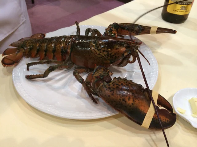 クロ・ド・シャルム（Clos de Charme） - 蔵王（フレンチ）の写真