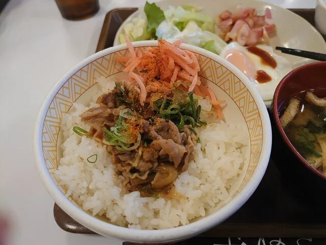 すき家  一関山目店 - 山ノ目（牛丼）の写真