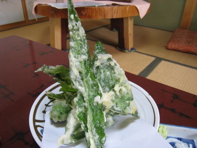 森蔵 - 山形（そば）の写真