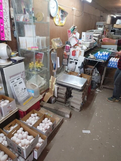 斎藤養鶏場 - 横倉（その他）の写真